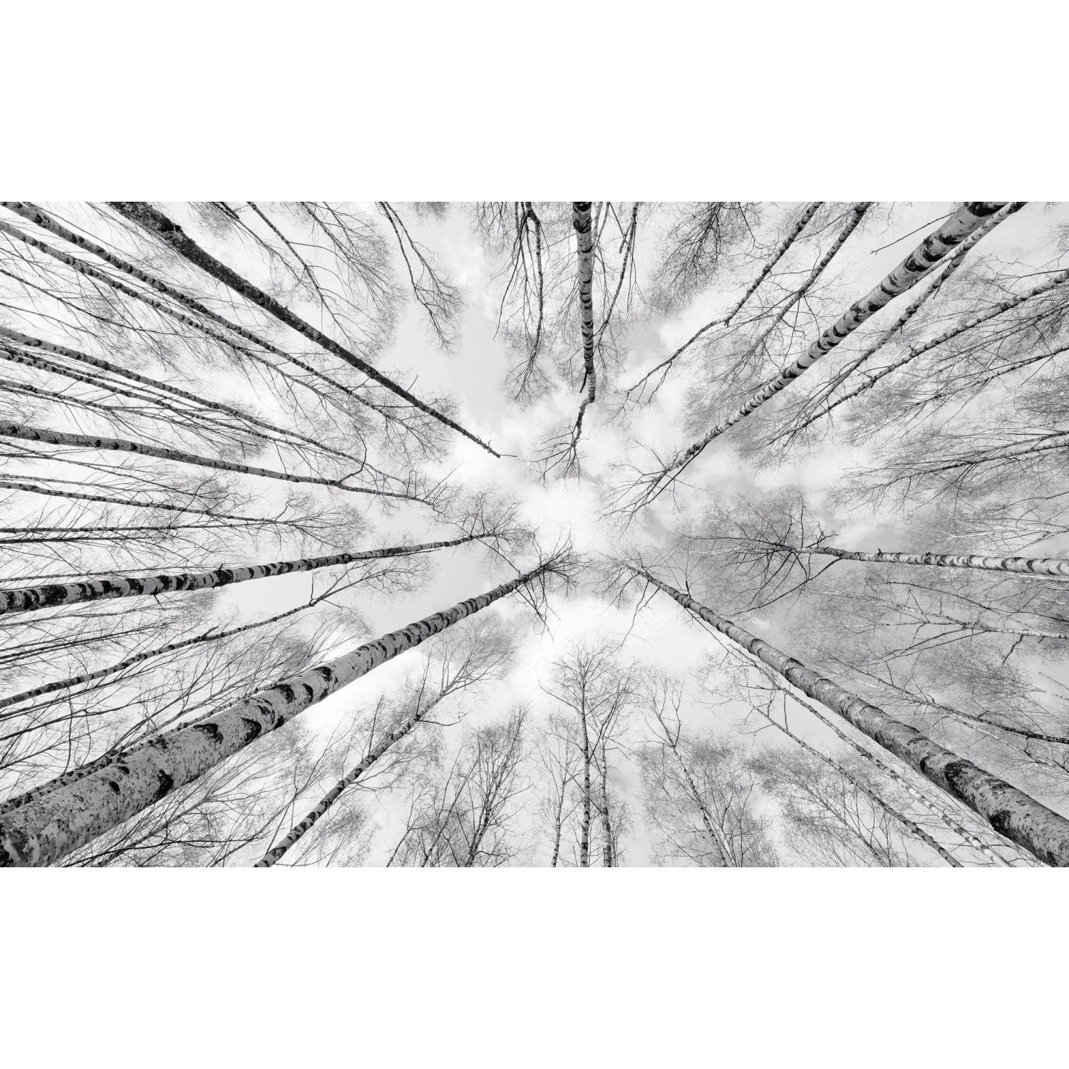 E-shop Komar Vliesová fototapeta White-blue 450 x 280 cm