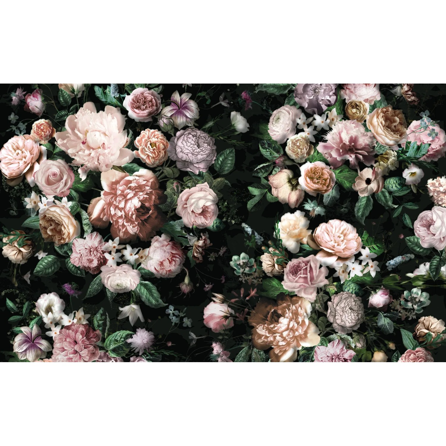 E-shop Komar Vliesová fototapeta Victoria Black 400 x 250 cm