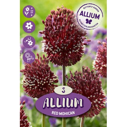 Kvetinová cibuľka Allium ''Red Mohican'', červená, 3 ks