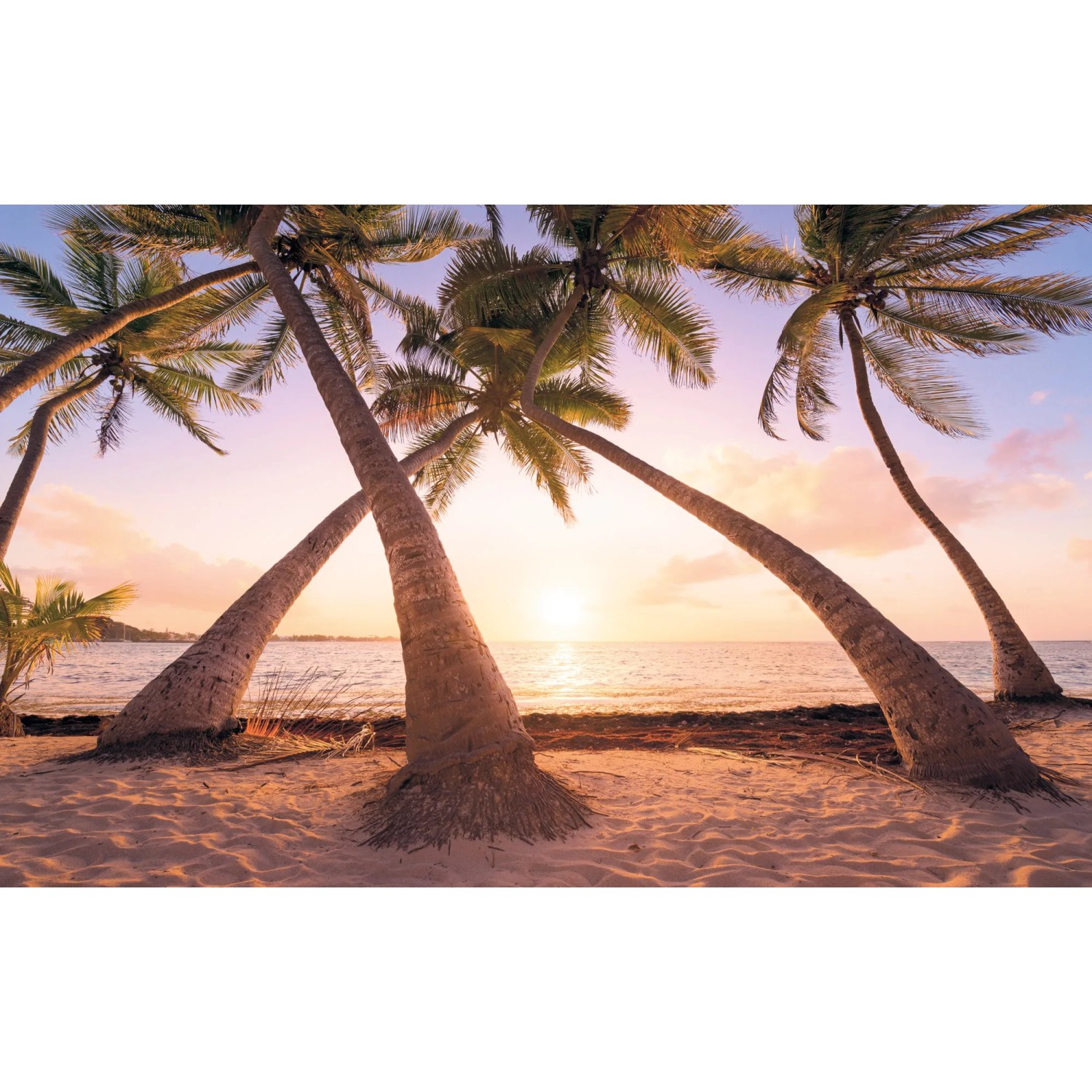 E-shop Komar Vliesová fototapeta Reaching the Sun 400 x 250 cm