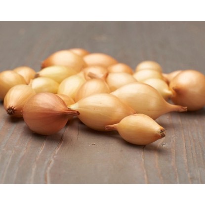 GardenSeed Premium BIO Cibuľa sadzačka jesenná žltá - Contado 300 g