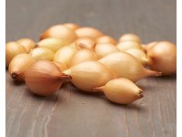 GardenSeed Premium BIO Cibuľa sadzačka jesenná žltá - Contado 300 g