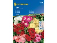 Kiepenkerl Semienka Plamienka mix