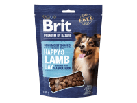 Brit Maškrta pre psov Premium by Nature Lamb with Sea Buckthorn 180 g
