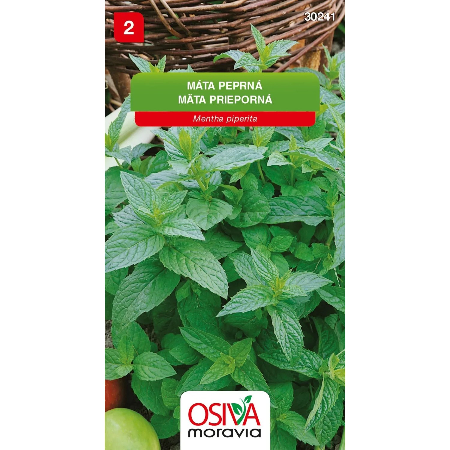 E-shop Osiva Moravia Semienka Mäta prieporná (Mentha piperita)
