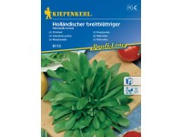 Kiepenkerl Semienka Poľníček Holländischer breitblättriger