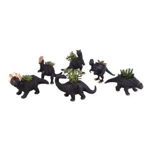 Šesť čiernych kvetináčov v tvare dinosaurov so sukulentmi. Dekoratívne izbové rastliny v kvetináčoch s priemerom 10 cm.