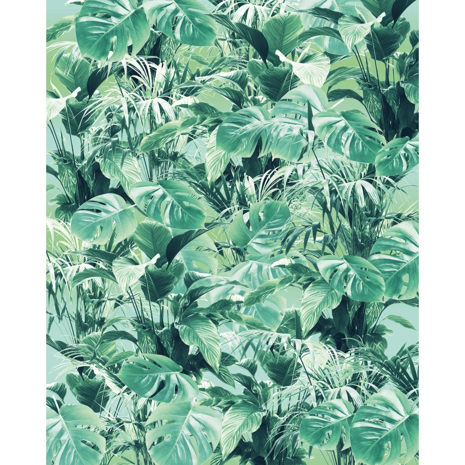 E-shop Komar Vliesová fototapeta Evergreen 200 x 250 cm