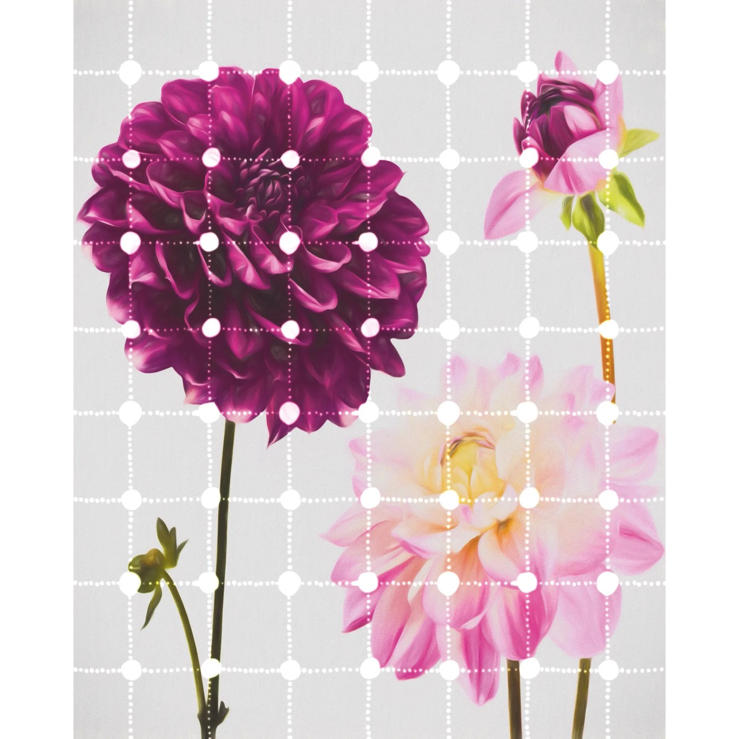 E-shop Komar Vliesová fototapeta Flowers & Dots 200 x 250 cm