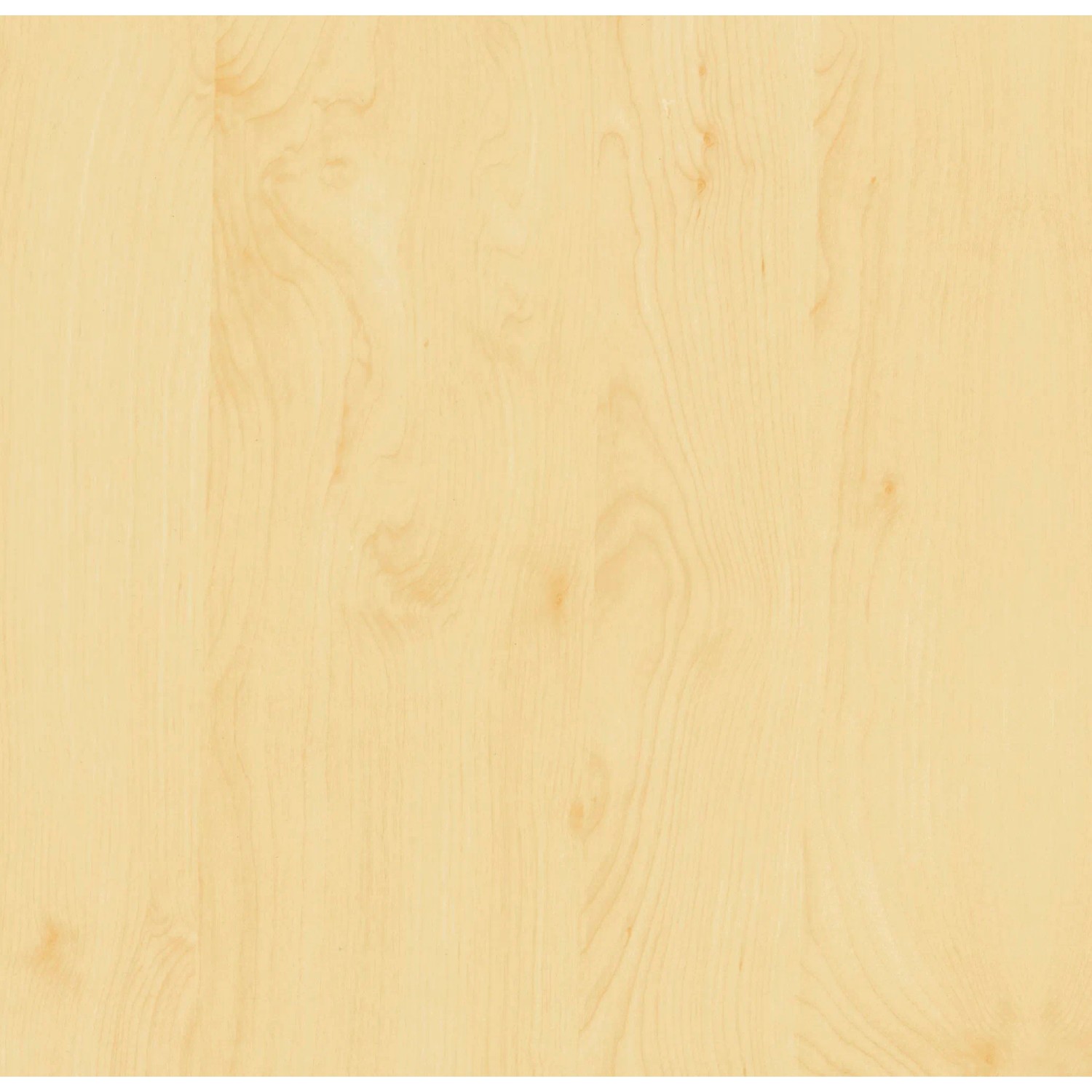 E-shop d-c-fix Fólia samolepiaca Birke, 210 x 45 cm