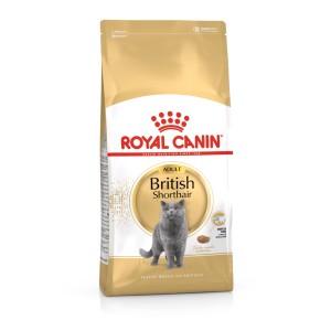 Royal Canin British Shorthair suché krmivo pre mačky, 10kg balenie pre britské krátkosrsté mačky.