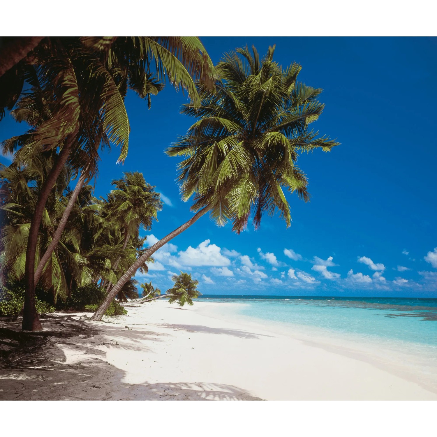 E-shop Komar Vliesová fototapeta Maldives 300 x 250 cm