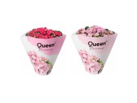 GROW by OBI Kolopejka vďačná (Kalanchoe) dvojkvetá ružová 20-25 cm, pr. 105 cm