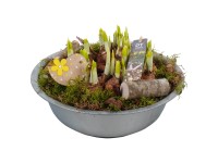 Aranžmán narcisov v zinkovom kvetináči, pr. kv. cca 29 cm