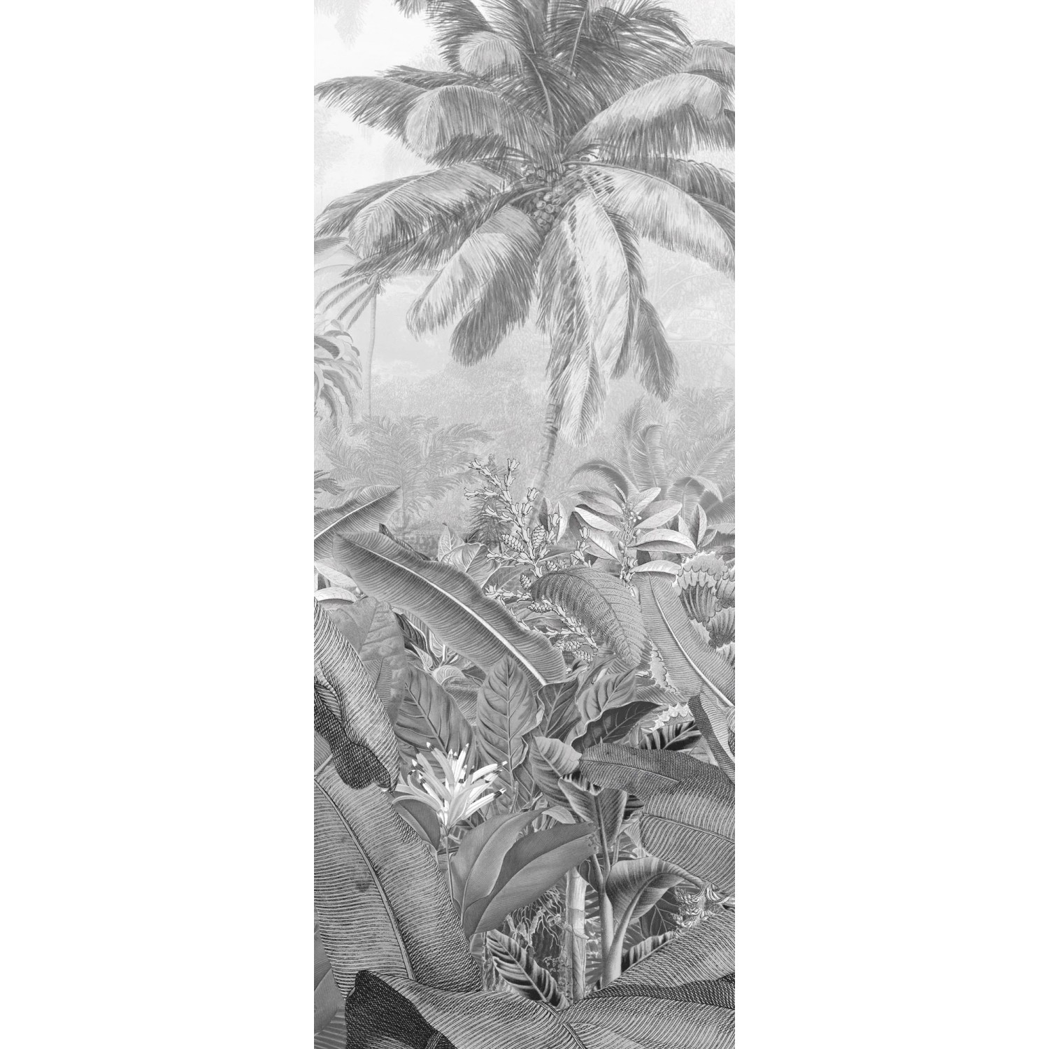 E-shop Komar Vliesová fototapeta Amazonia Black and White 100 x 250 cm