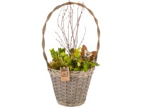 Aranžmán s rastlinami kvitnúcimi na jar v koši s rúčkou priemer cca 24 cm