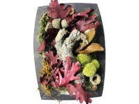 Mix na tvorenie zo sušených listov kvetov a machu mix