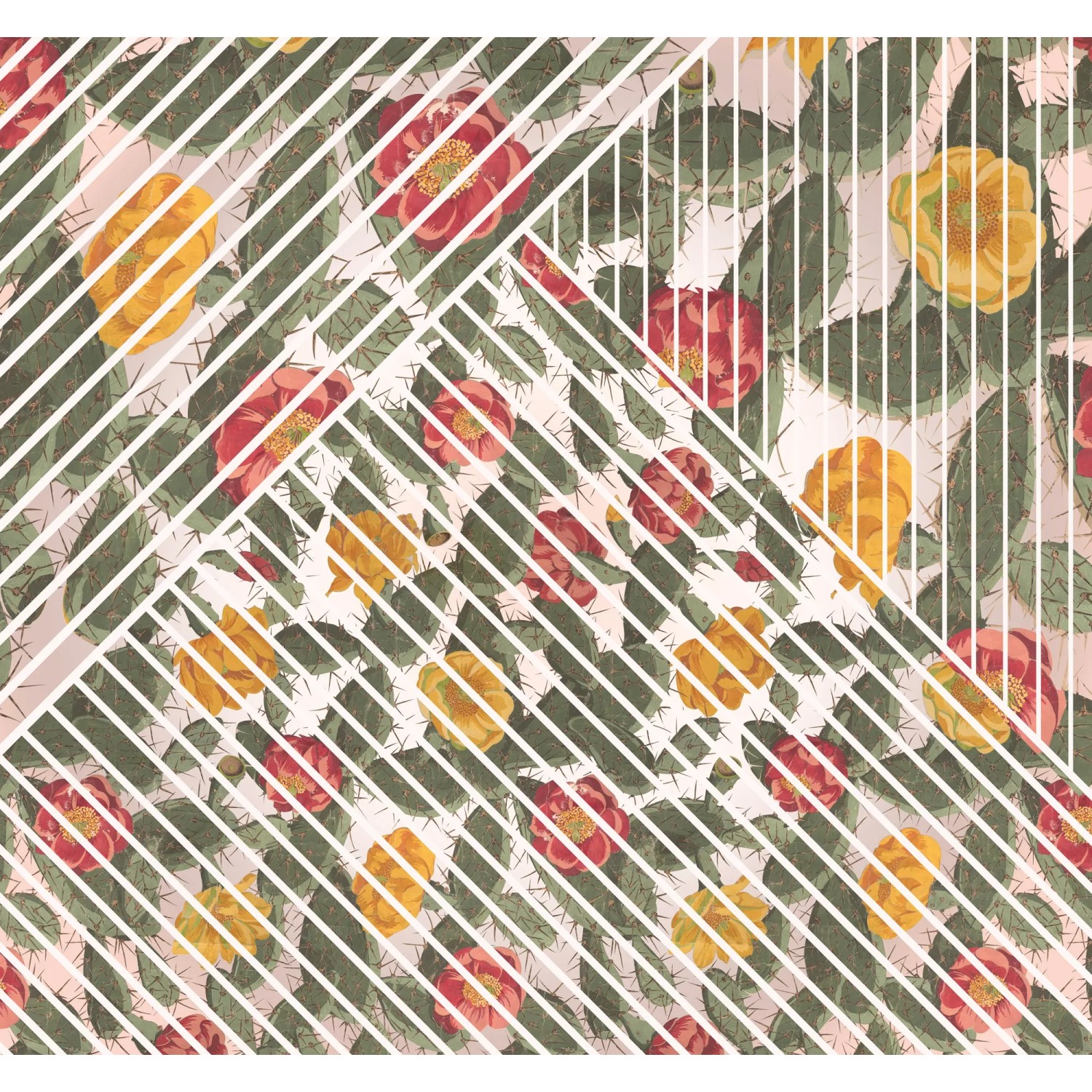 E-shop Komar Vliesová fototapeta Cactus 300 x 280 cm