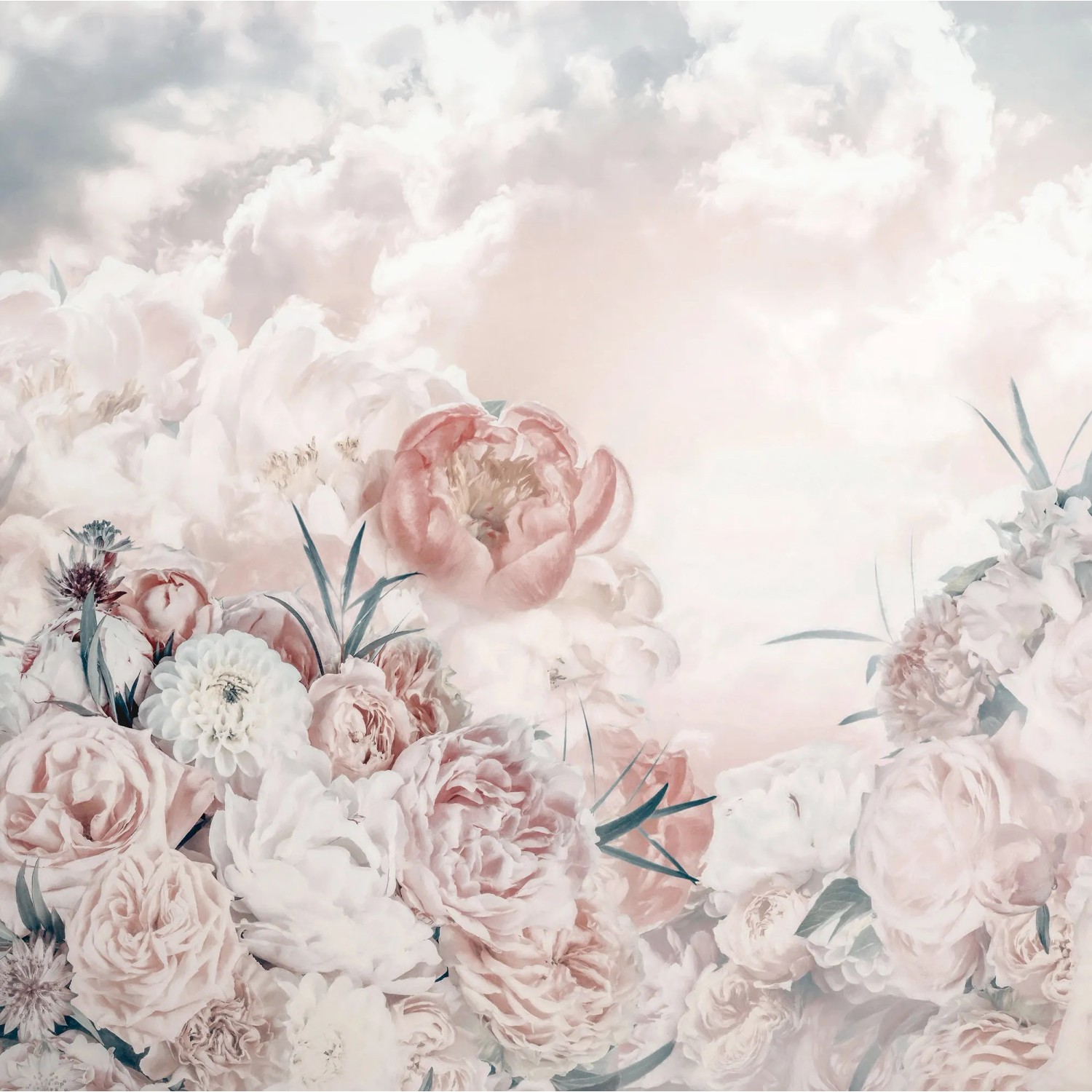 E-shop Komar Vliesová fototapeta Blossom Clouds 250 x 250 cm