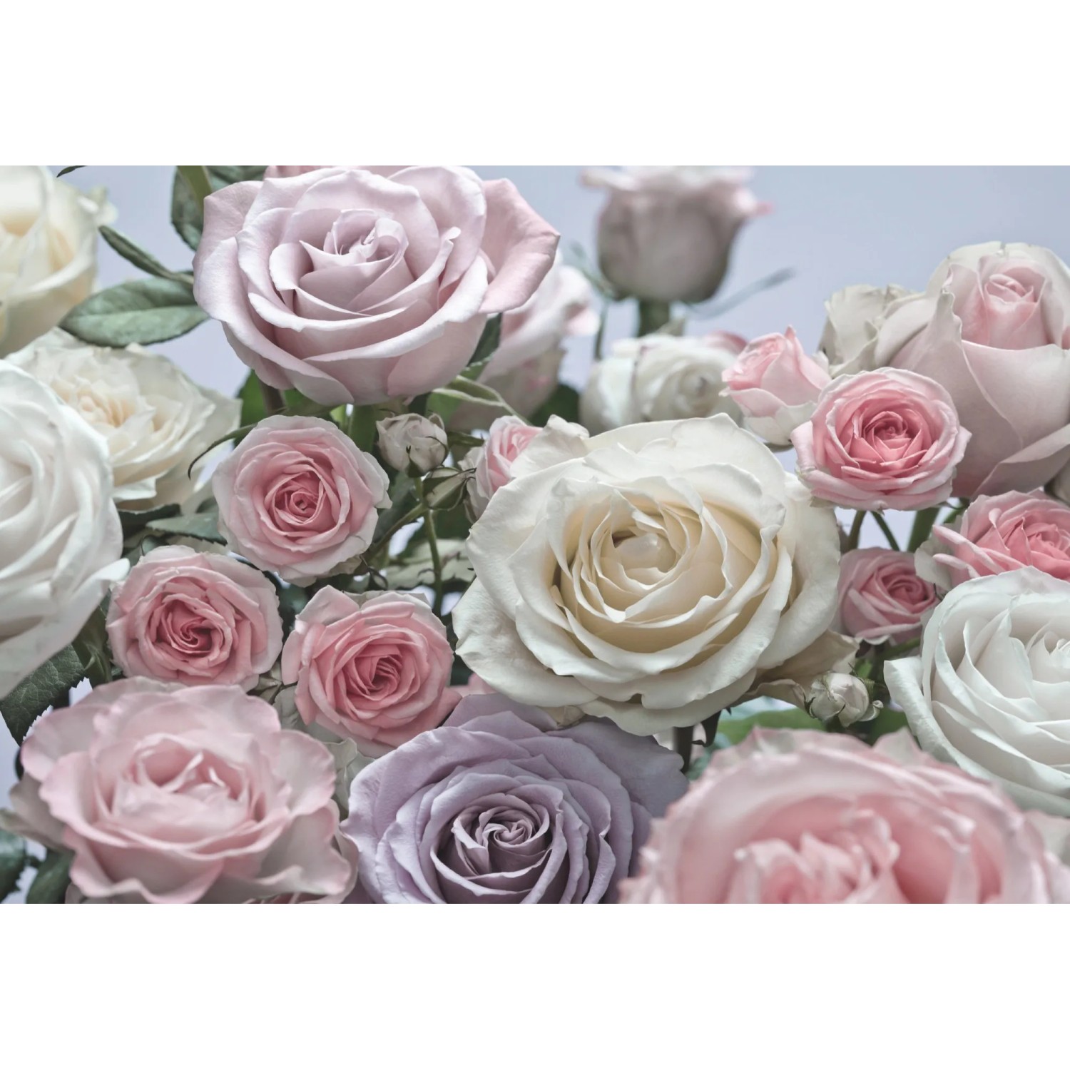 E-shop Komar Papierová fototapeta Floraison, 368 x 254 cm