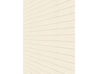 Nástenný a stropný panel dekor hruška biely 260 x 20,2 x 1 cm