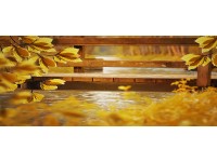 Bondecor Obraz, tlačené plátno Jesenná krajina 50 x 120 cm