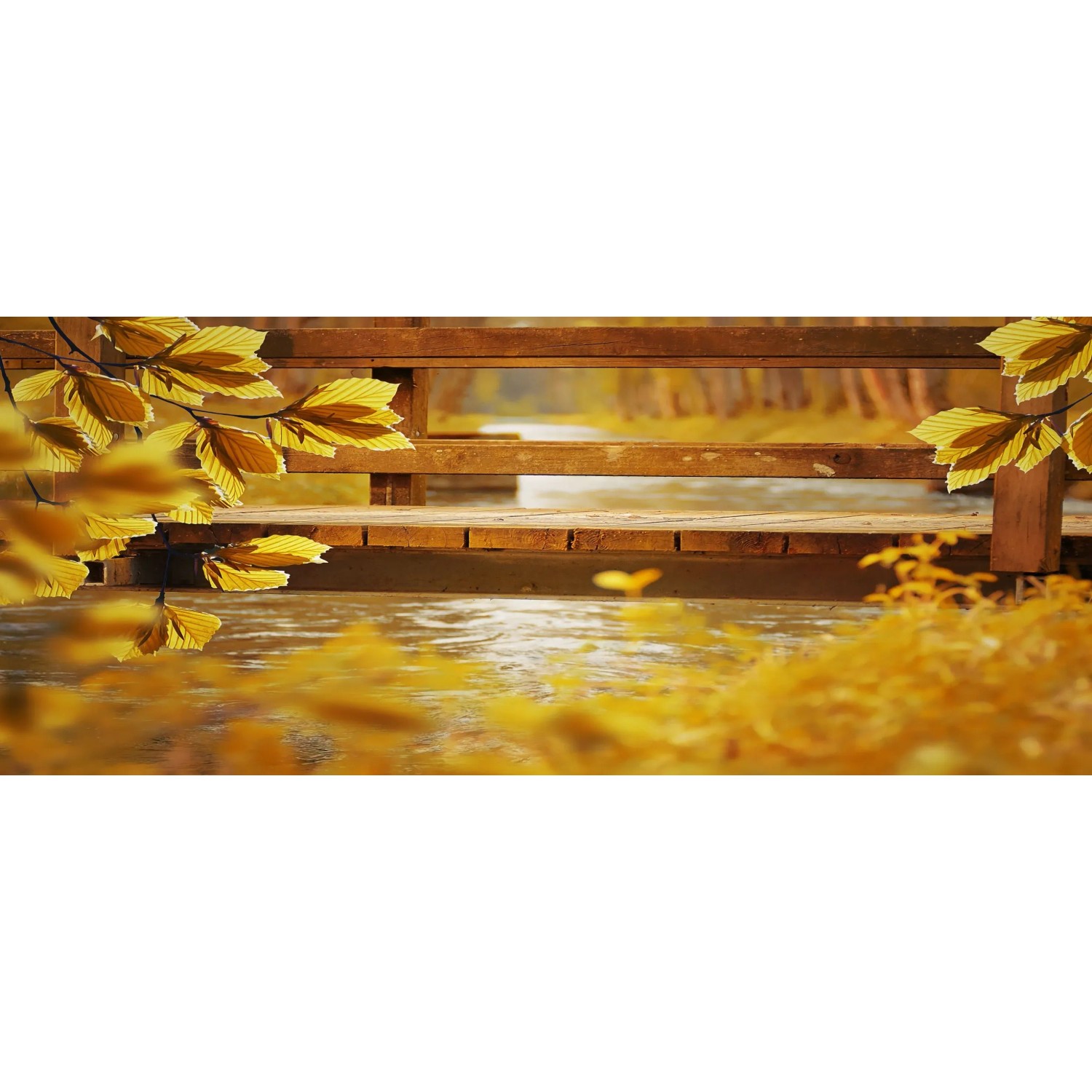 E-shop Bondecor Obraz, tlačené plátno Jesenná krajina 50 x 120 cm