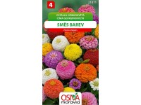 Semienka Cínia georgínokvetá, zmes farieb (Zinnia elegans)