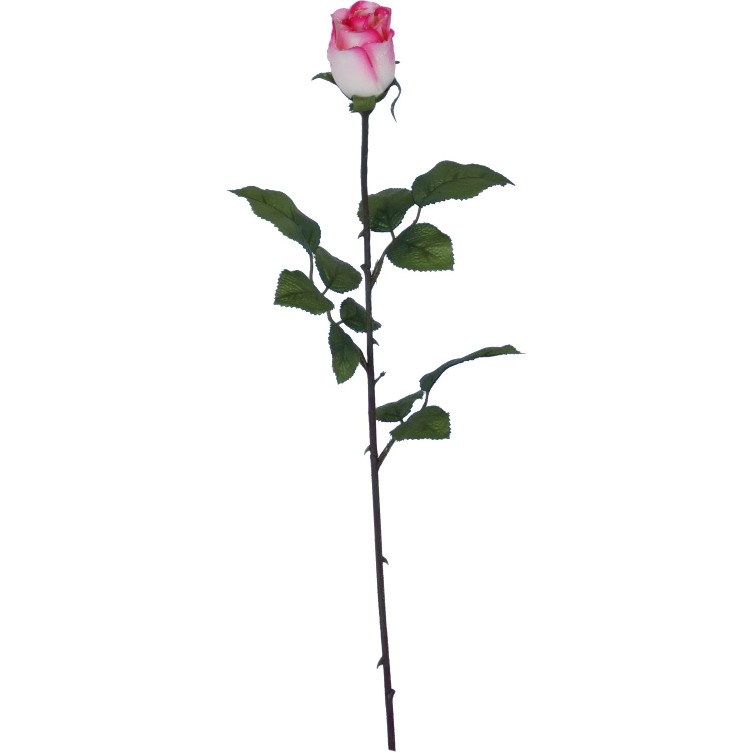 E-shop Ruža Venus s kvapkami vody 60 cm ružová