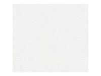 A. S. Creation Pretierateľná vliesová tapeta Meistervlies Creativ biela 250513