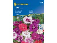 Kiepenkerl Semienka Klinček čínsky mix