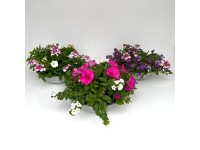 Kvetinový aranžmán v zinkovom kvetináči, pr. kv. cca 29 cm