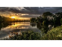 Bondecor Obraz, tlačené plátno Slnko 80 x 150 cm