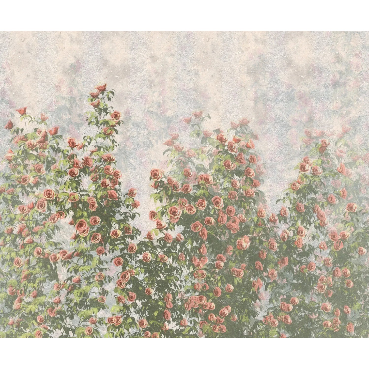 E-shop Komar Vliesová fototapeta Wall Roses 300 x 250 cm