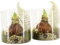 Zimný aranžmán zornice v sklenenej nádobe, pr. 15 cm