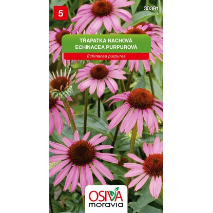 Osiva Moravia Semienka Echinacea purpurová (Echinacea purpurea)
