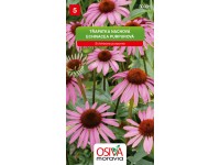 Osiva Moravia Semienka Echinacea purpurová (Echinacea purpurea)