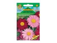 Margaréta šarlátová zmes