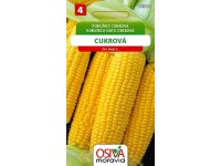 Semienka Kukurica cukrová (Zea mays L.)