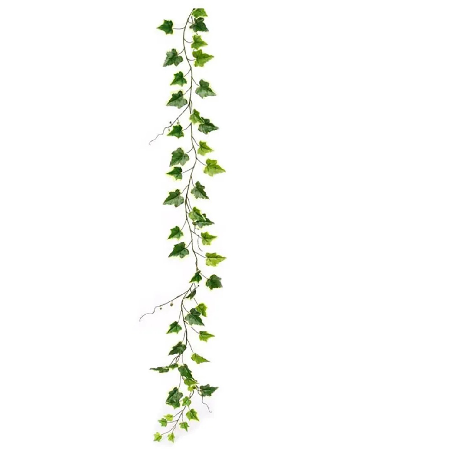 E-shop Flower Power Umelý brečtan girlanda žíhaný,170 cm