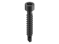 GS Terrassen Samovrtná skrutka valcová hlava, A2, čierna, pr. 4,2 x 17 mm, 100ks GS Terrassen Samovrtná skrutka valcová hlava, A2, čierna, pr. 4,2 x 17 mm, 100ks
