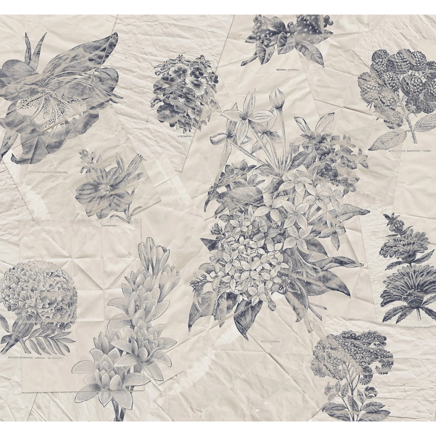 E-shop Komar Vliesová fototapeta Botanical Papers 300 x 280 cm
