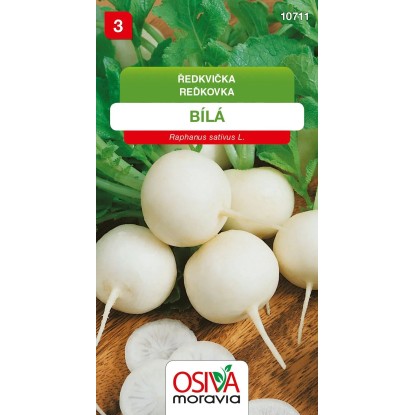 Semienka Reďkovka biela (Raphanus sativus)