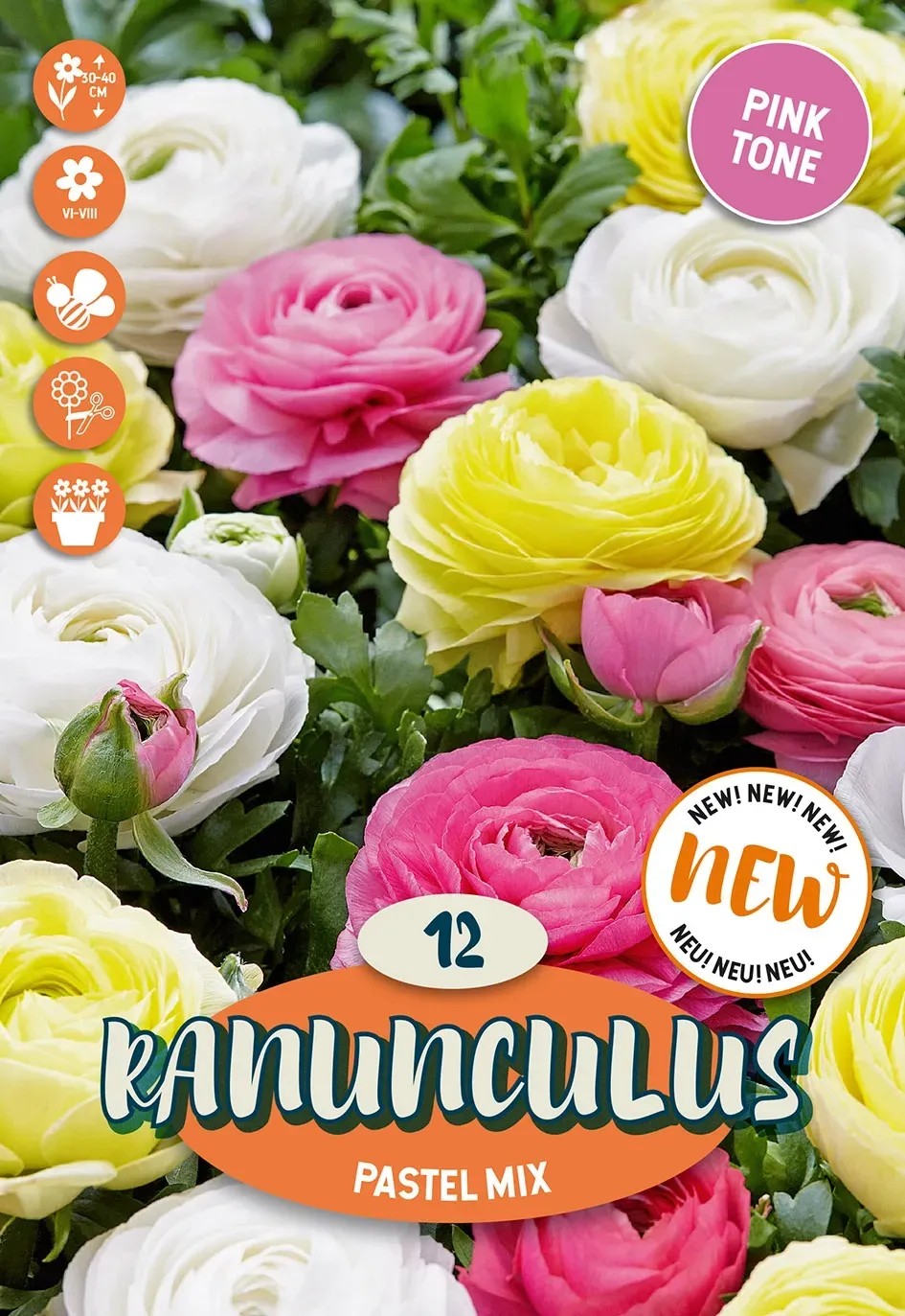 Holand Ranunculus Royal De Ree Holland Kvetinové cibuľky Ranunculus Pastel Mix 12 ks