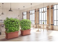 Gardenico Truhlík Magnus 80 terakota, 800 x 390 x 370 mm