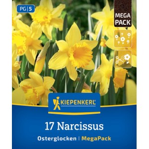 Kiepenkerl Narcisy Veľkonočné zvončeky Mega-Pack: 17 žltých cibuliek, kvitnúce jarné kvety.