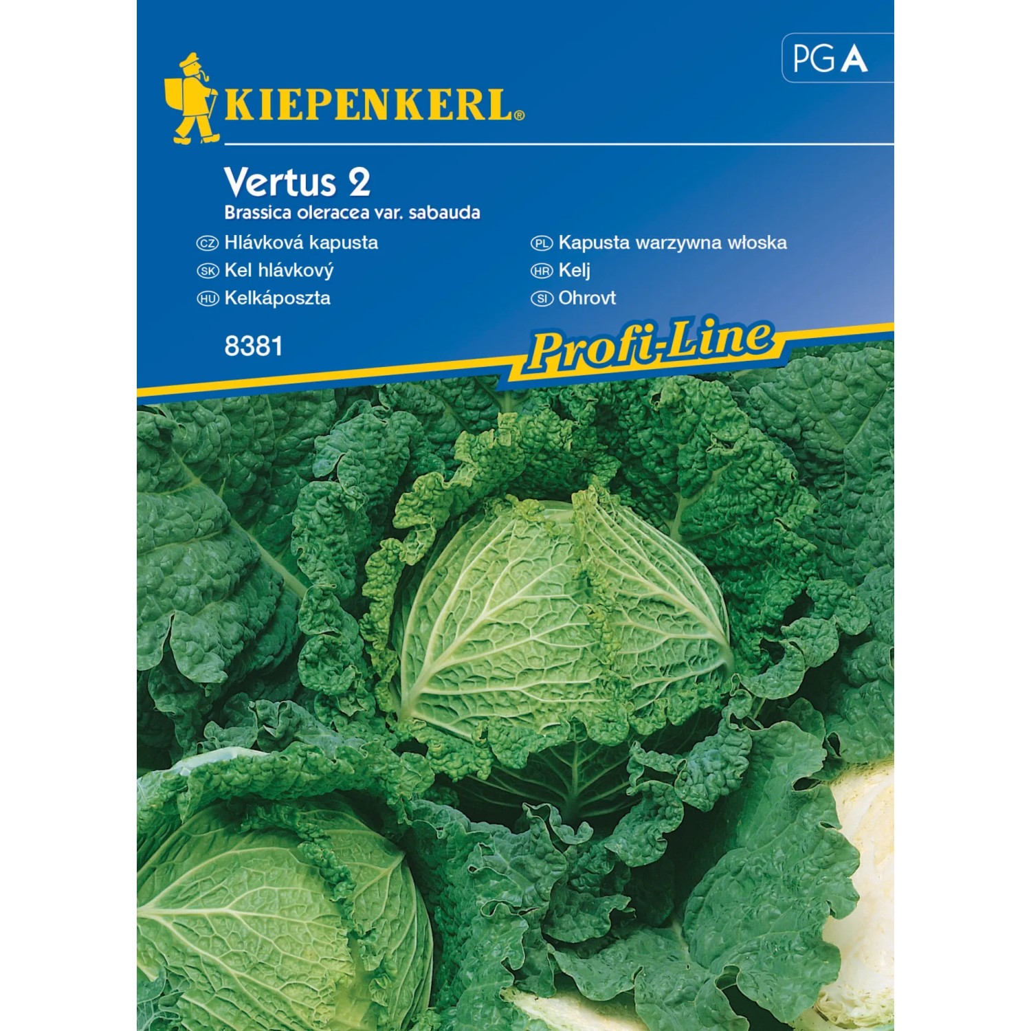E-shop Kiepenkerl Semienka Hlávkový kel Vertus 2