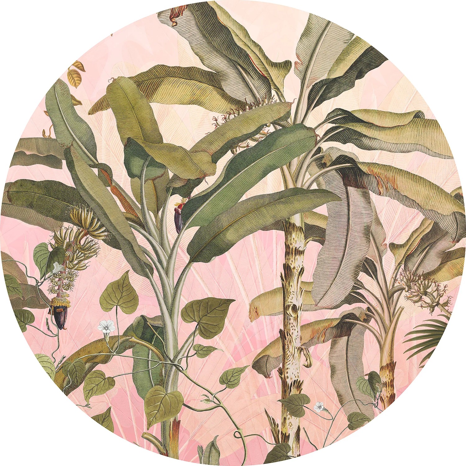 E-shop Komar Samolepiaca vliesová fototapeta Dot Botany pr. 125 cm