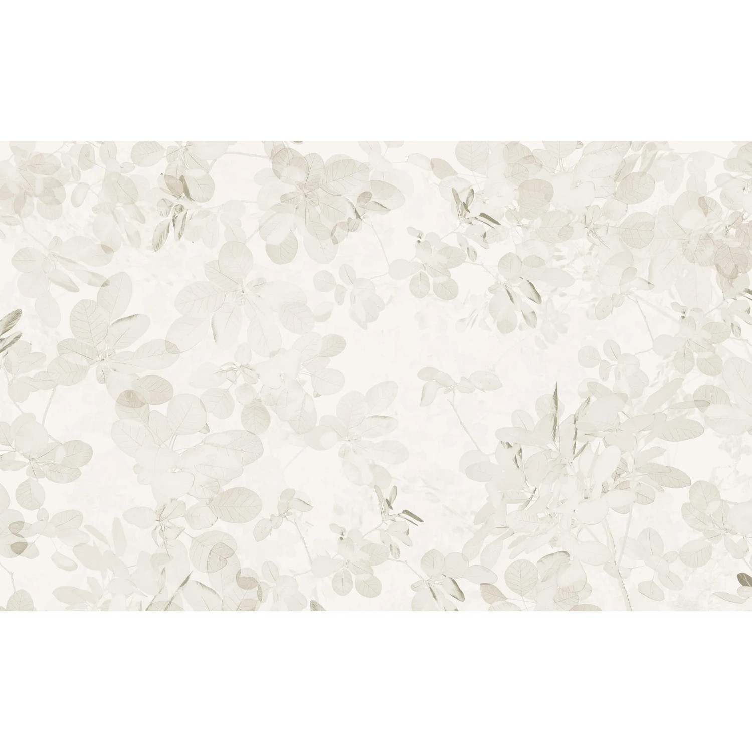 E-shop Komar Vliesová fototapeta Sheer Grey 400 x 250 cm