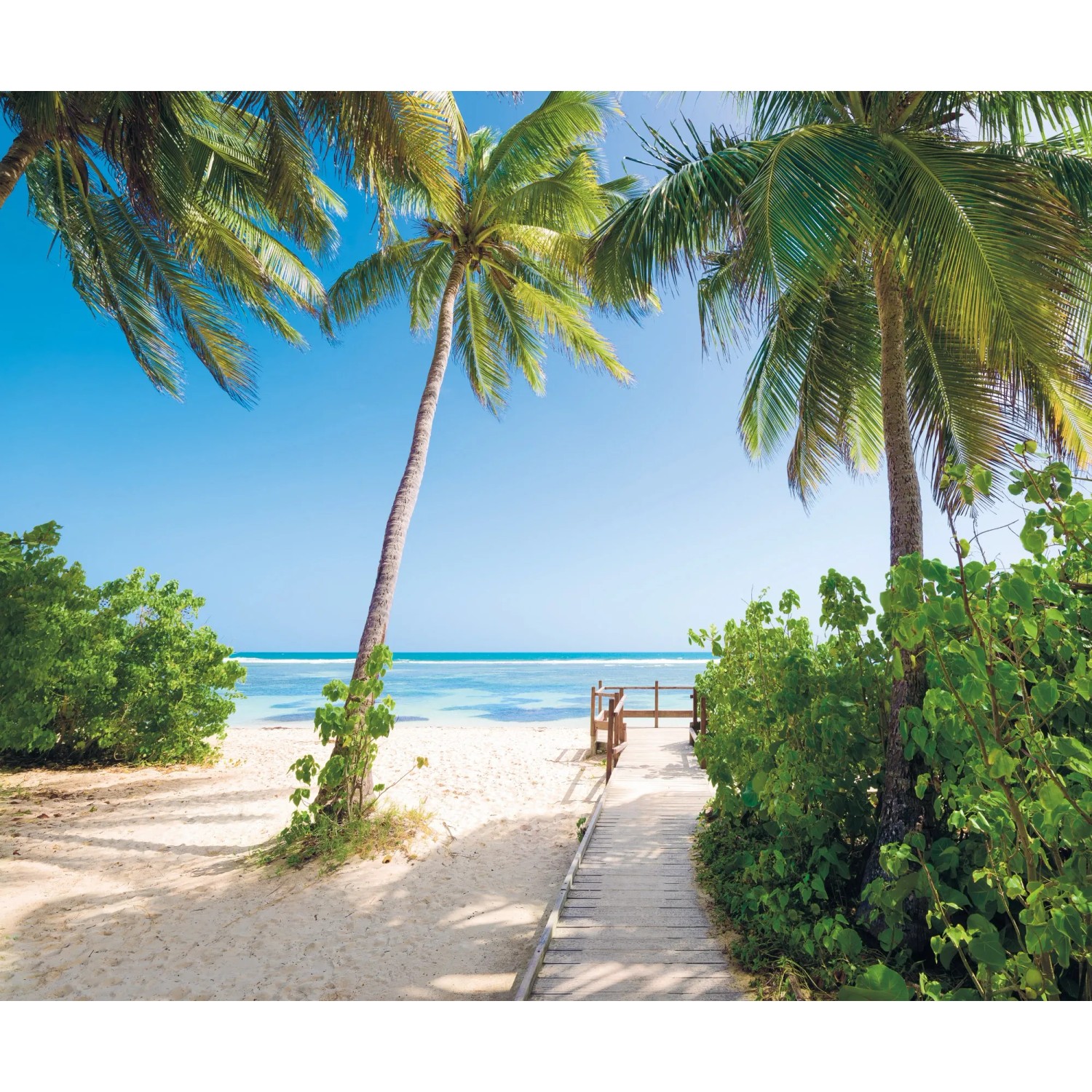 E-shop Komar Vliesová fototapeta Palmy Beach 300 x 250 cm